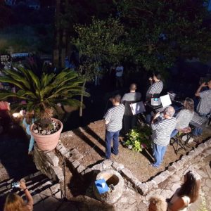 IMG-1f3ff3d53660b7d06c2dc511046d0334-V