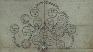 mirko-komnenovic-(15)